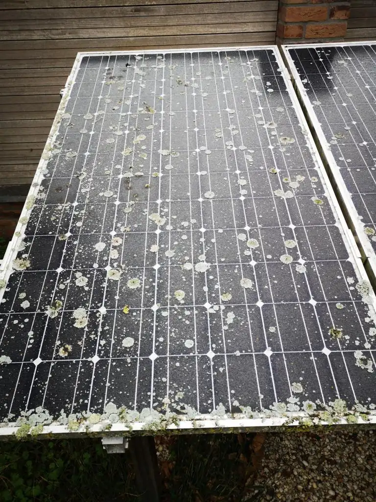 Dirty solar panels in need of
deep cleaning due to lichen build-up